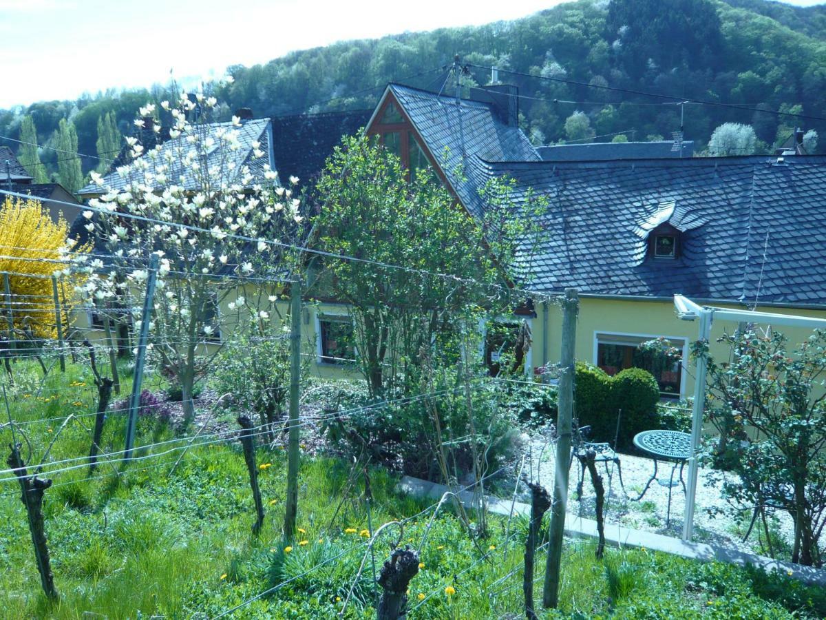Pension Am Weinberg เมเซอนิค ภายนอก รูปภาพ